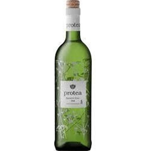 Protea Sauvignon Blanc Western Cape 2024 750ml